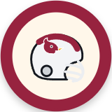 Arizona Cardinals
