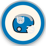 Detroit Lions