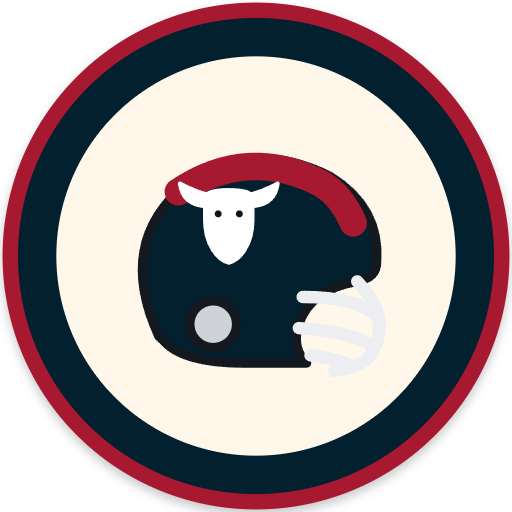 Houston Texans