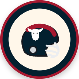 Houston Texans